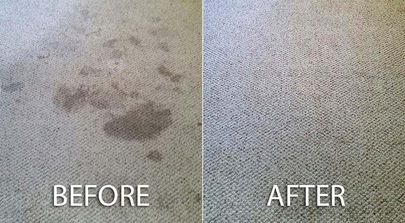 carpet before after